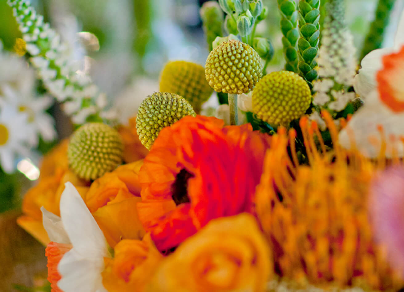 img-pgh-catering-theme-1-1